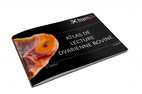 Atlas de lecture ovarienne