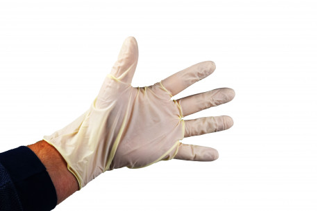 Latex examination gloves - Powder free - Size L - 100 gloves