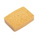 sponges