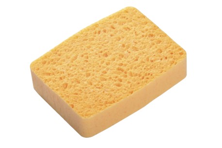 sponges
